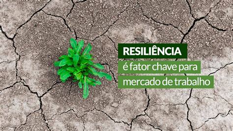 Inicio ▸ blog de psicología ▸ personalidad ▸ resiliencia: Resiliência é fator chave para mercado de trabalho - CRA-PR