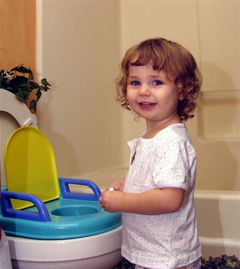 11 Helpful Tips To Potty Train Your 3 Year Old Baby Toddler Potty