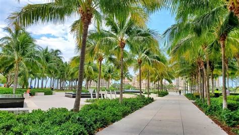 5 Must Do Things At South Pointe Park 🌴 Miami Beach Fl 🌴 South Florida