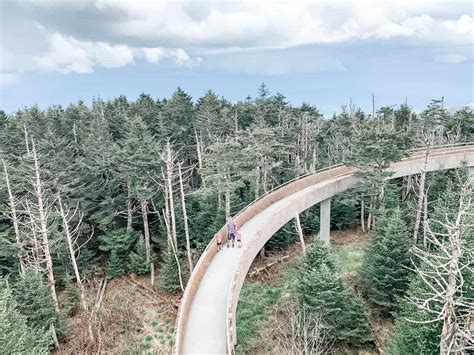 20 Best Hikes In The Smokies Hiking Great Smoky Mountains National