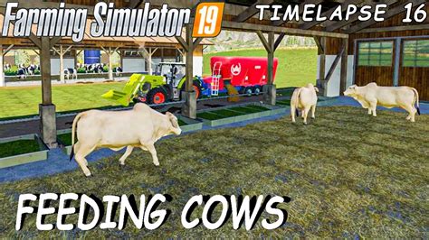We Feed 400 Cows 😱😱 Farming Simulator 19 Animals On Felsbrun 16