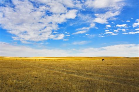 Sun Prairie Montana Discovering Montana