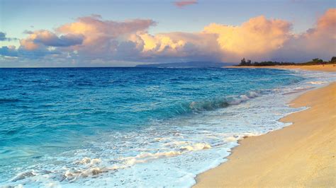 Caribbean Beach Wallpaper 65 Images