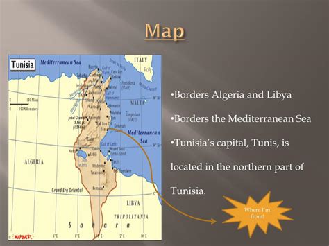 Ppt The Tunisian Revolution Powerpoint Presentation Free Download