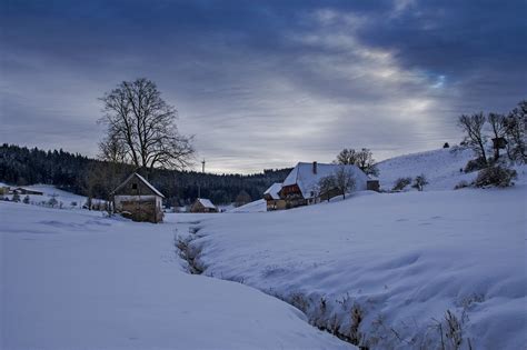 Black Forestwintersnowlandscapenature Free Image From