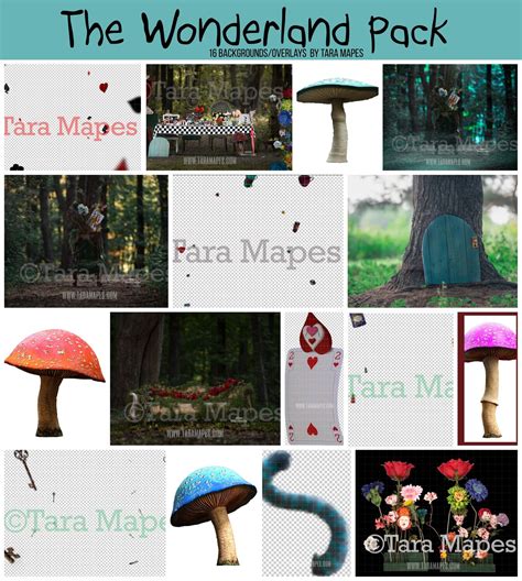 The Wonderland Pack By Tara Mapes Alice In Wonderland Inspired