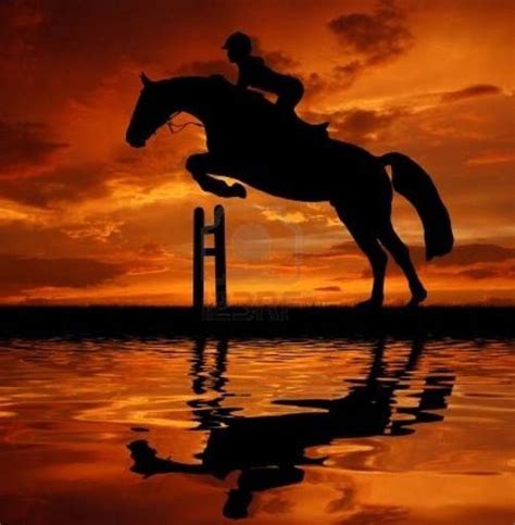 Horse Jump At Sunset With The Horse And Rider Reflected In The Water