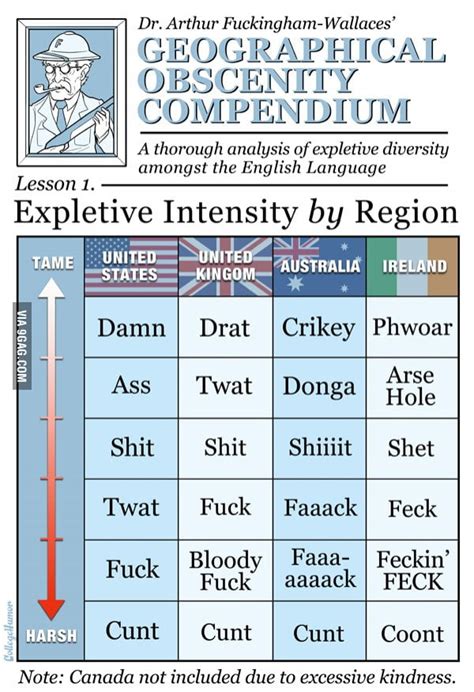 English Swear Words The Definitive Guide 9gag
