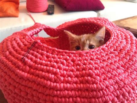 A simple pattern, but looks like faux knitting to ensure that the right side is on the inside bottom of the bed, but switches to the outside walls, while still remaining a. Lily Razz: Crocheted Cat Nest