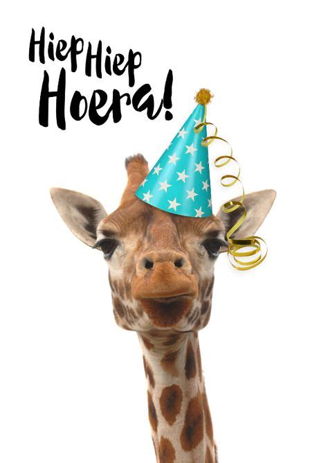 Verjaardag Grappige Giraf Met Feesthoedje Verkrijgbaar Bij Kaartje Go