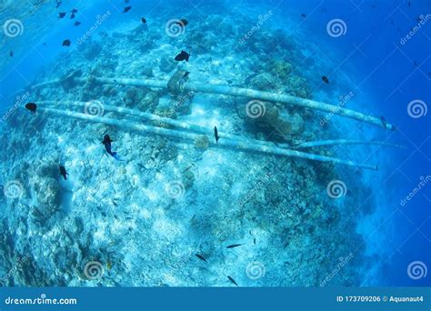 Sewer Wastewater Pipes Underwater Stock Photo Image Of Atoll Scenery