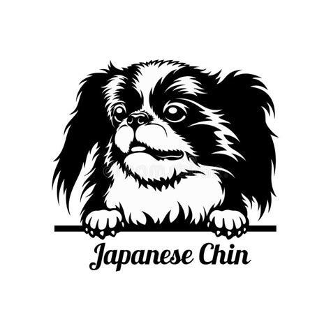 20 Printable Japanese Chin Coloring Pages Leannreagan