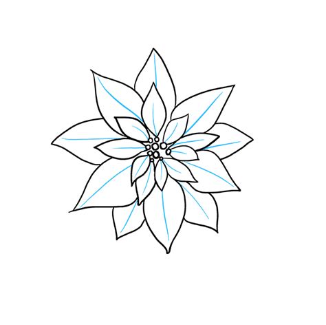 How To Draw A Poinsettia Really Easy Drawing Tutorial
