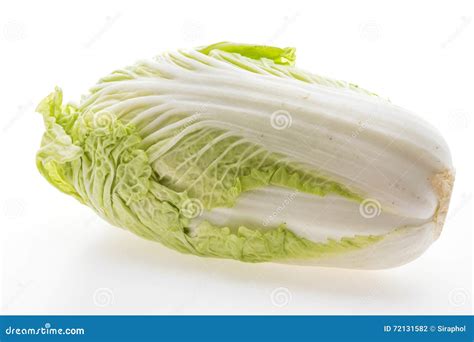 White Lettuce Or White Cabbage Stock Photo Image Of Lettuce Cabbage