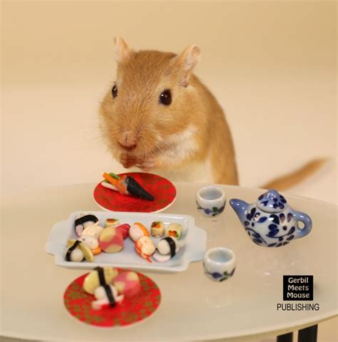 Pin By American Gerbil Society On Gerbil Meets Mouse Cute Rats Cute