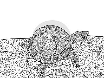 Turtle Coloring Book For Adults Vector Stock Vector Image