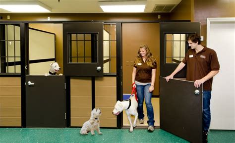 Luxury Suites Contemporary Style Masonco Dog Boarding Kennels
