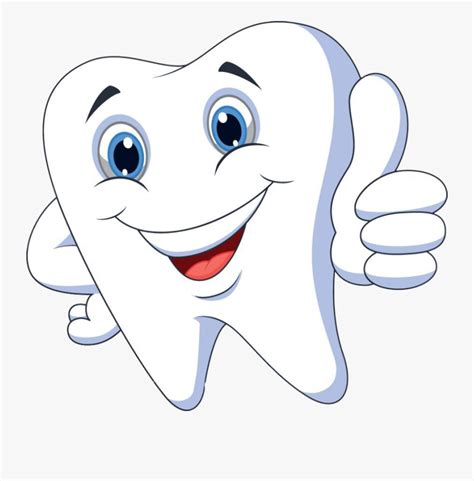 Download High Quality Tooth Clipart Healthy Transparent Png Images