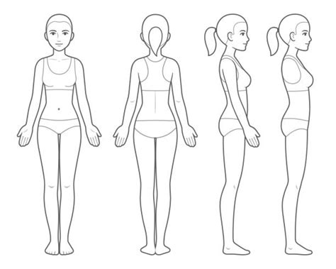 80 Cartoon Of Human Body Outline Front And Back Stock Illustrations