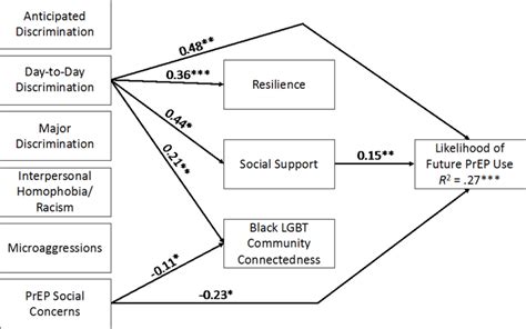 Path Model Showing Associations Between Intersectional Stigma