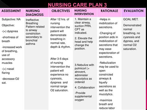 Nursing Care Plan Examples Asthma Asthma Nursing Care Plan Nursing Care Plan Examples