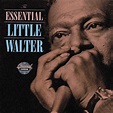 Little Walter - The Essential Little Walter | iHeart
