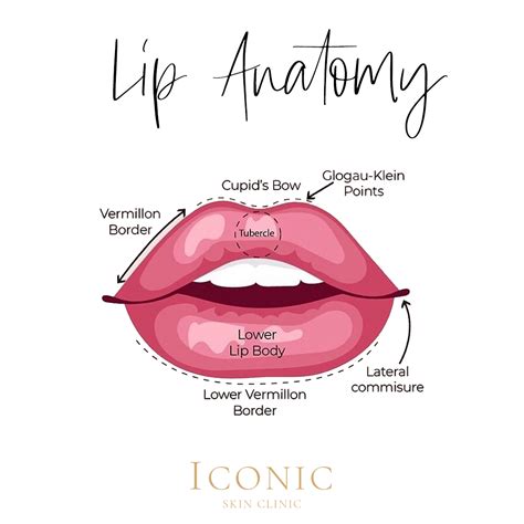 How To Tackle Bruising After Lip Or Dermal Fillers Artofit