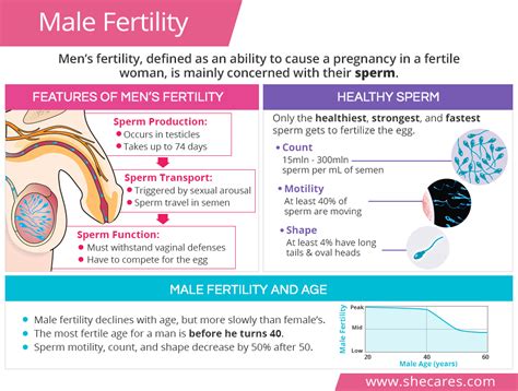 Male Fertility Shecares