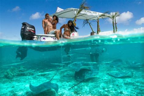 Bora Bora Romantic Tour Vaitape 2023 Lo Que Se Debe Saber Antes De