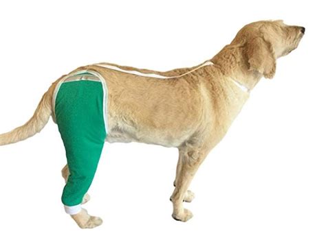 After Surgery Wear Hip And Thigh Wound Protective Sleeve For Dogs Dog