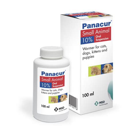 Panacur Worming Syrup 10 For Cats Kittens Dogs And Puppies 100ml Home