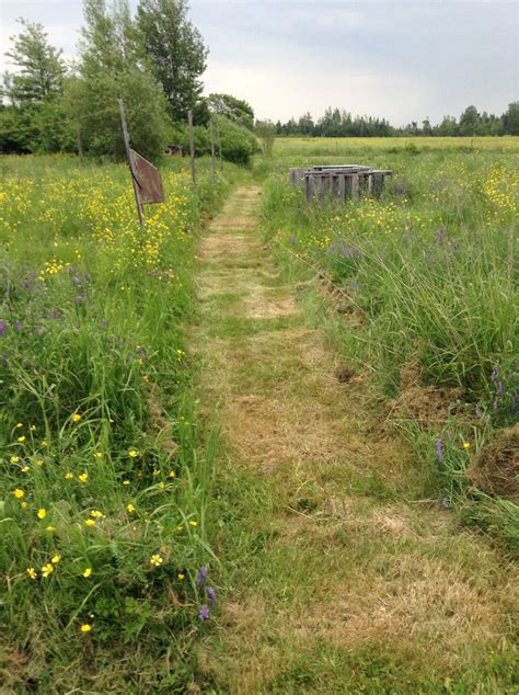 Path Through Tall Grass Back Road Scenic Routes Backyard Ideas Paths