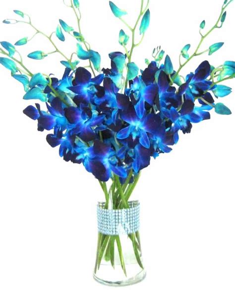 Does Anyone Know Where To Buy Artificial Blue Dendrobium