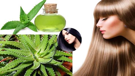 Having natural hair gel means treating your hair with respect and invest in a healthy growing mane! Hair Treatment At Home | Hibiscus And Aloe Vera Gel For ...