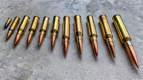 Ballistics Complete Guide To Bullet Designs And Choosing The Best