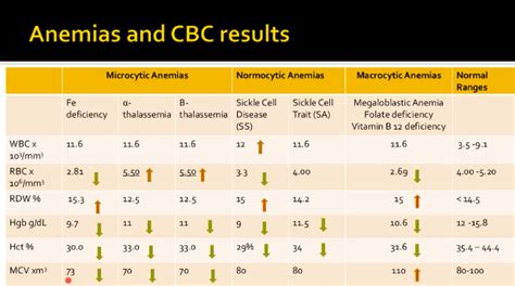 Nm706 Anemias And Cbc Results Diagram Quizlet