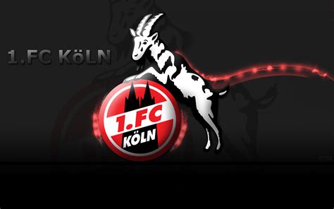 All info, news and stats relating to 1. FC KÃ¶ln Wallpaper HD | Full HD Pictures