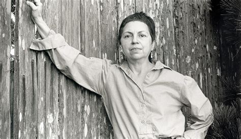 Dr Gloria E Anzaldúa Special Collections And University Archives