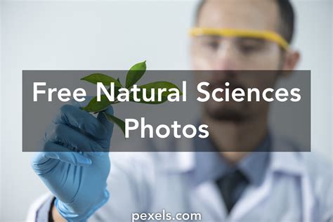 1000 Great Natural Sciences Photos · Pexels · Free Stock Photos