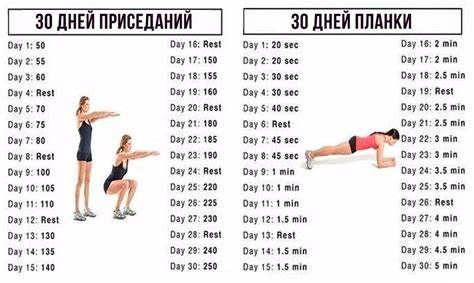 Программа тренировок и диеты