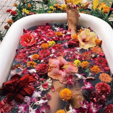 Would You Take A Bath Full Of Flowers Imagine How Wonderful That Is