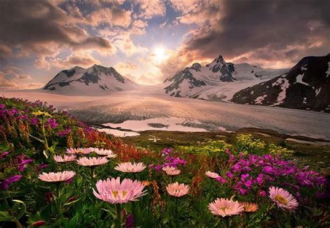 Alaska Beautiful Nature Nature Nature Photography
