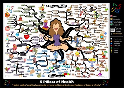 The 5 Pillars Of Perfect Health Mind Map By Adam Sicinski Issuu