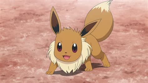You will be able to meet more than dragon ball z: Ilima's Eevee | International Pokédex Wiki | Fandom