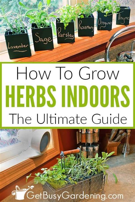 How To Grow Herbs Indoors The Ultimate Guide In 2020 Growing Herbs