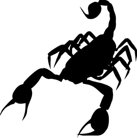 Scorpion Clip Art Clip Art Library
