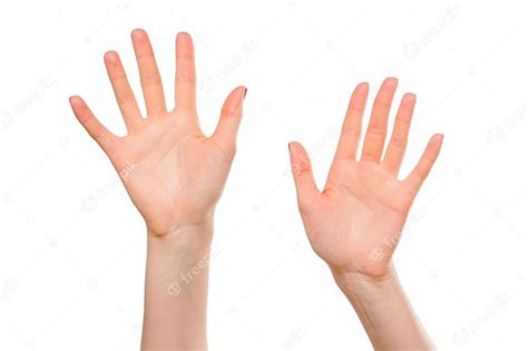 Premium Photo Close Up Of Beautiful Womans Hands Palms Up