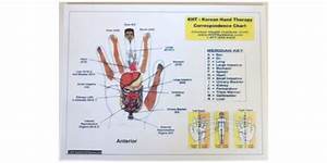 Motor Point Therapy Chart Acupuncture Lasers Net