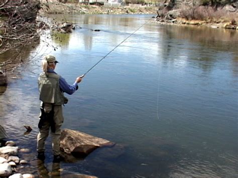 Fly Fishing Report On The Arkansas River The Perfect Fly Store