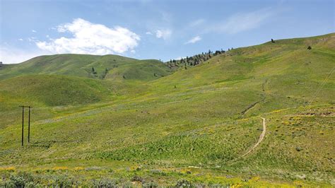 Wenatchee Foothills Trails Reopen From Annual Winter Closure Local